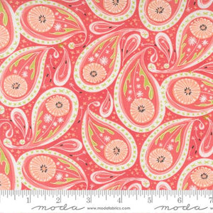 Dandi Duo - Paisley in Coral by Robin Pickens for Moda