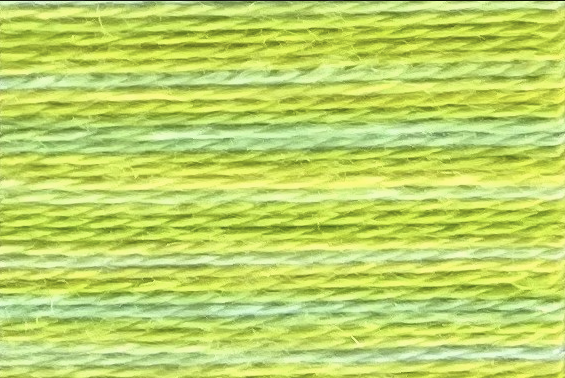 Budgie - Acorn Threads by Trailhead Yarns - 20 yds of 8 weight hand-dyed thread