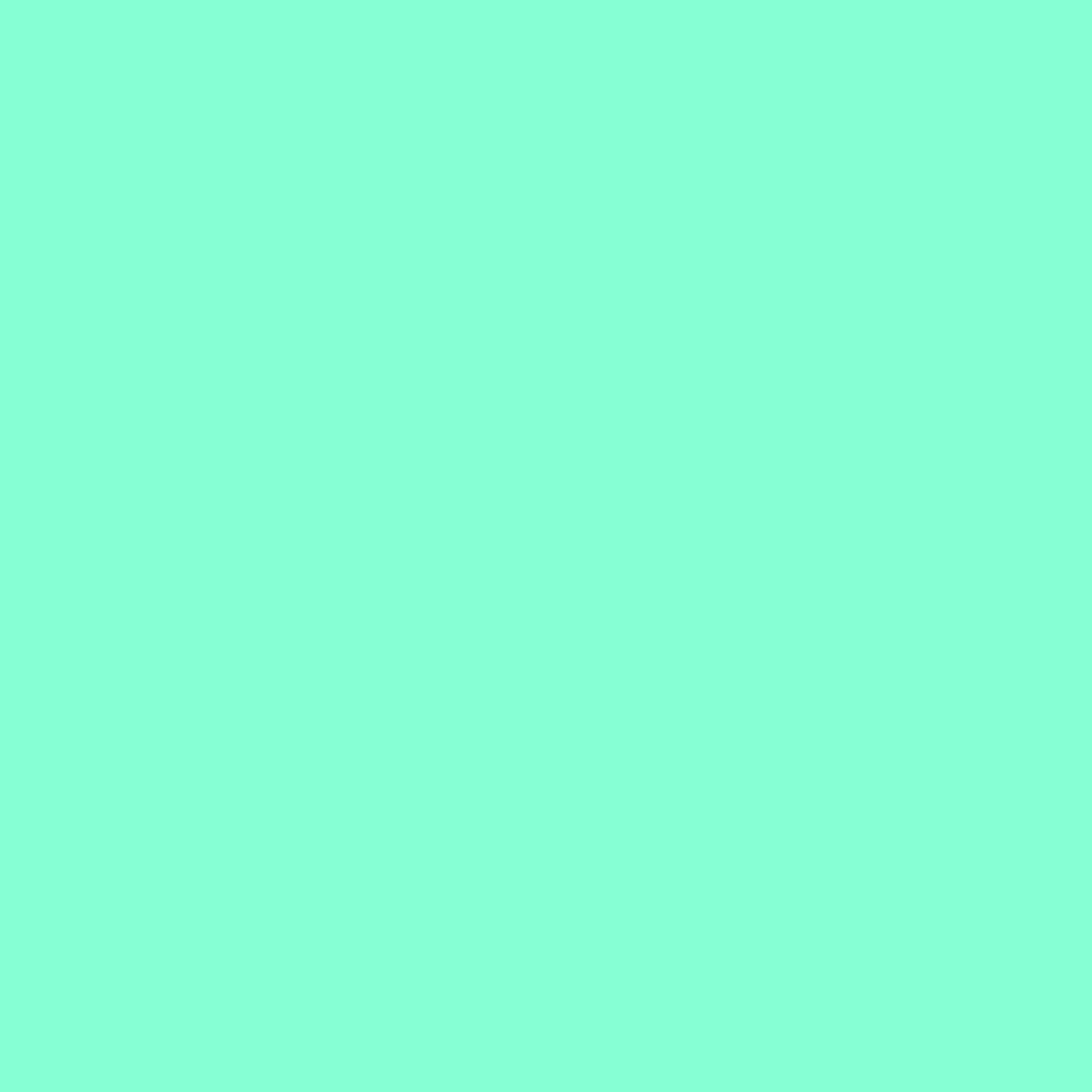 Polyurethane Laminate - PUL - Mint (P.U.L.)