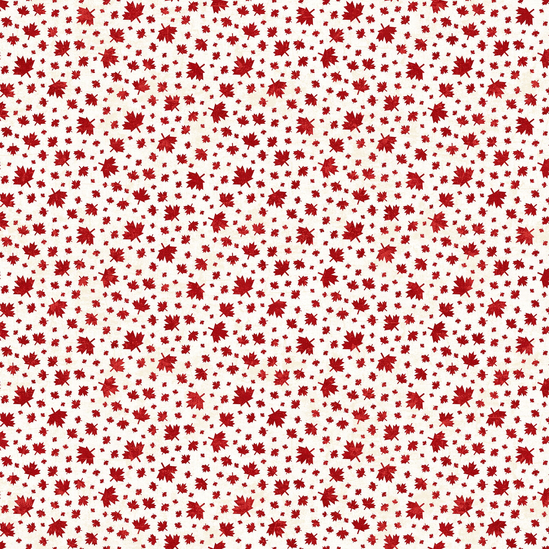 Medium Leaf in Cream from Canadian Classics 3 by Deborah Edwards for Northcott