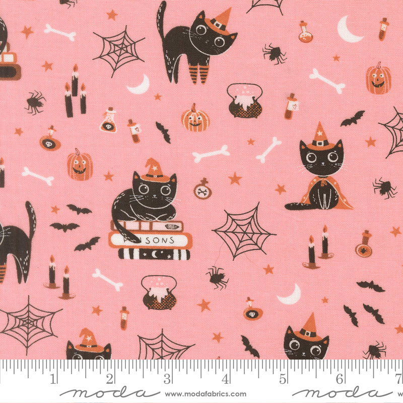 Witchy Cats in Candy from Purrs & Boos by Elena Amo for Moda Fabrics, Designer Fabric