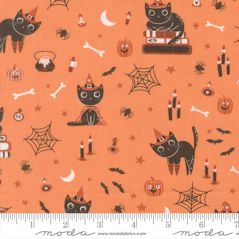 Witchy Cats in Pumpkin from Purrs & Boos by Elena Amo for Moda Fabrics, Designer Fabric