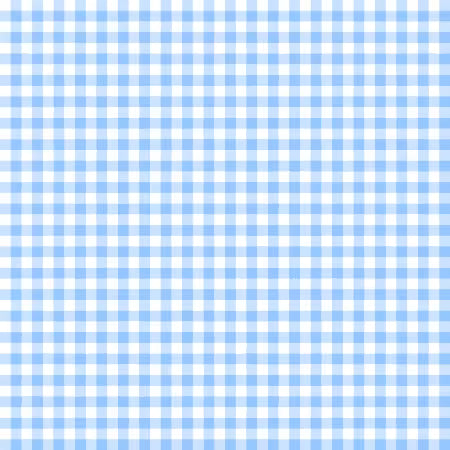 White/Baby Blue Gingham Classics