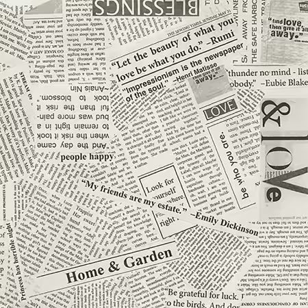 Spackle News Paper Clipping 108" Widback || WIDEBACK 108" || for Windham Collection
