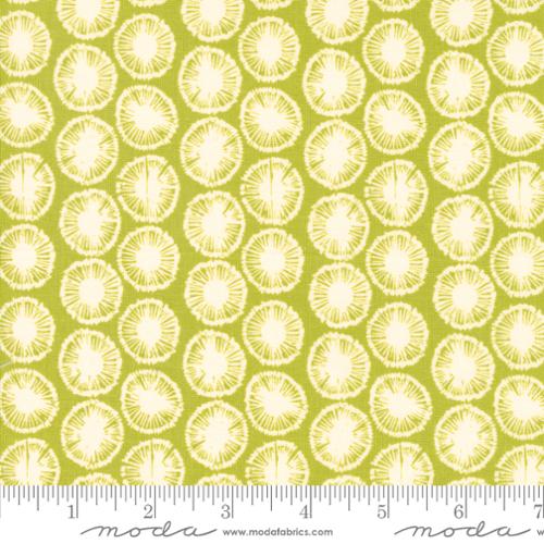 Dandelions in Sprig - Willow by 1 Canoe 2 for Moda Fabrics