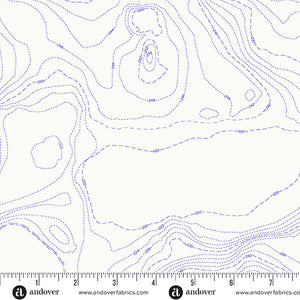 Topography in Pond from Sun Print Whisper by Alison Glass for Andover Fabrics