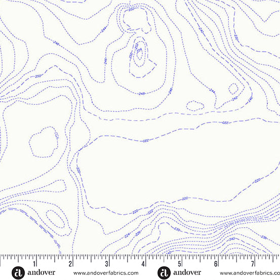 Topography in Pond from Sun Print Whisper by Alison Glass for Andover Fabrics