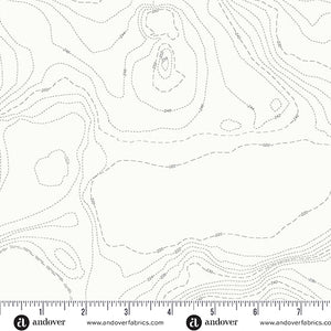 Topography in Boulder from Sun Print Whisper by Alison Glass for Andover Fabrics