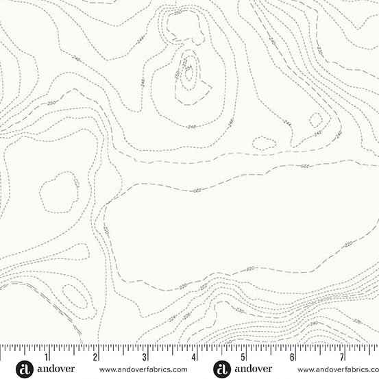 Topography in Boulder from Sun Print Whisper by Alison Glass for Andover Fabrics