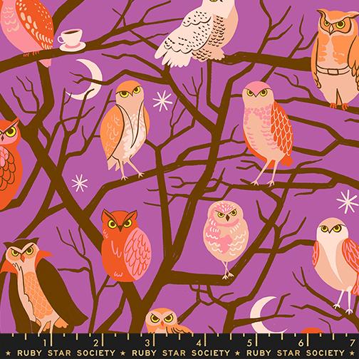 Who Cooks for You in Witchy from Freaky Familiars by Ruby Star Society, Designer Fabric
