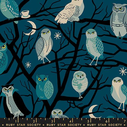 Who Cooks for You in Galaxy from Freaky Familiars by Ruby Star Society, Designer Fabric