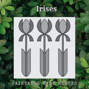 Irises - Floral || Barn Block ||