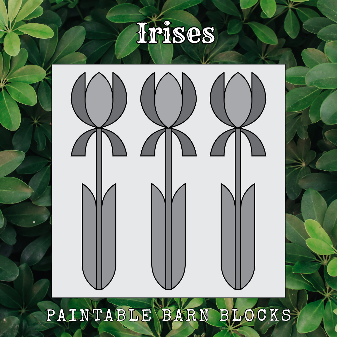 Irises - Floral || Barn Block ||