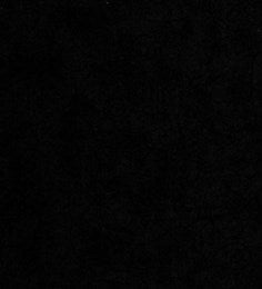 Fit for a Queen - Willow in Black Wide back 108" - for Quilters Choice