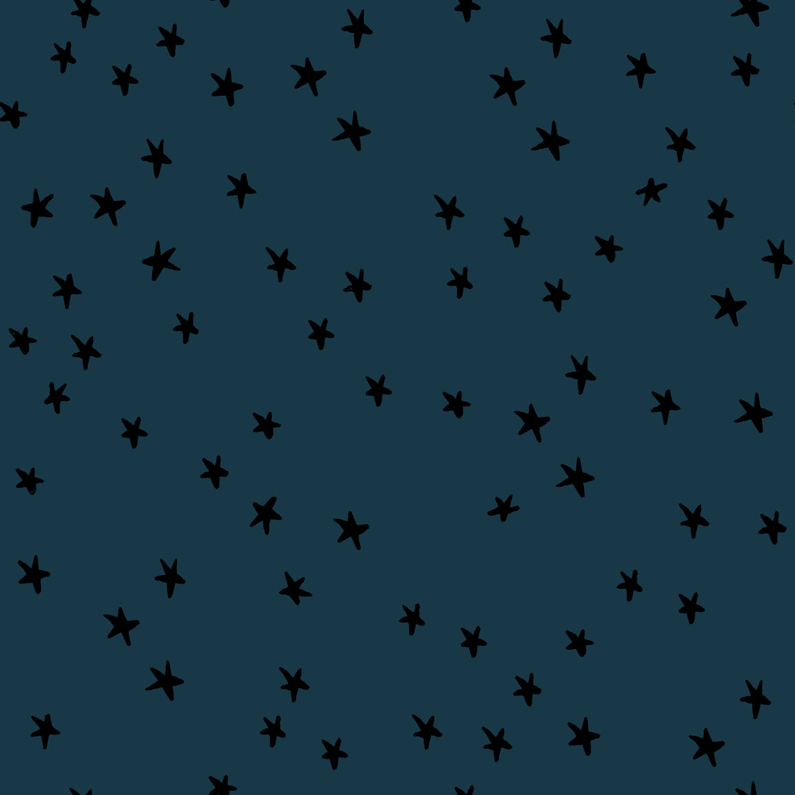 Starry in Smoke || WIDEBACK 108" || Alexia Marcelle Abegg for Ruby Star Society