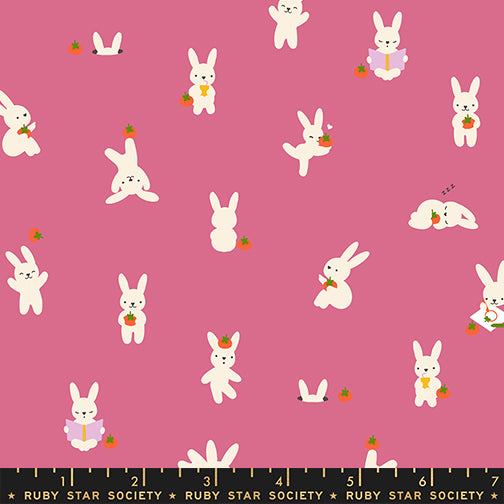 Bun E and Sammy in Hibiscus from Persimmon by Rashida Coleman Hale of Ruby Star Society, Designer Fabric