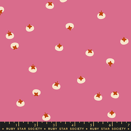 Persimmons in Hibiscus from Persimmon by Rashida Coleman-Hale of Ruby Star Society, Designer Fabric