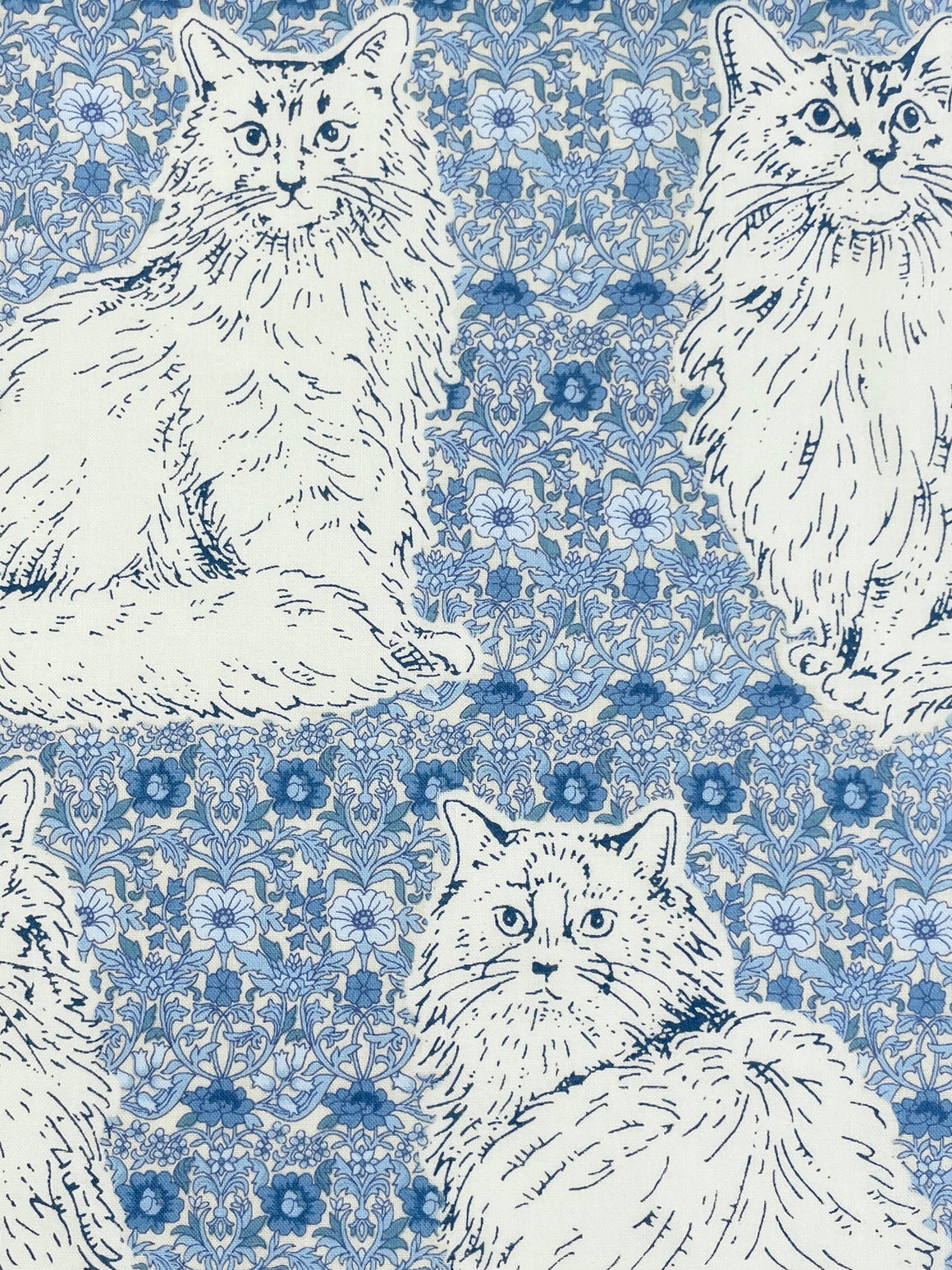 Cats in Sky from Sevenberry Fabrics