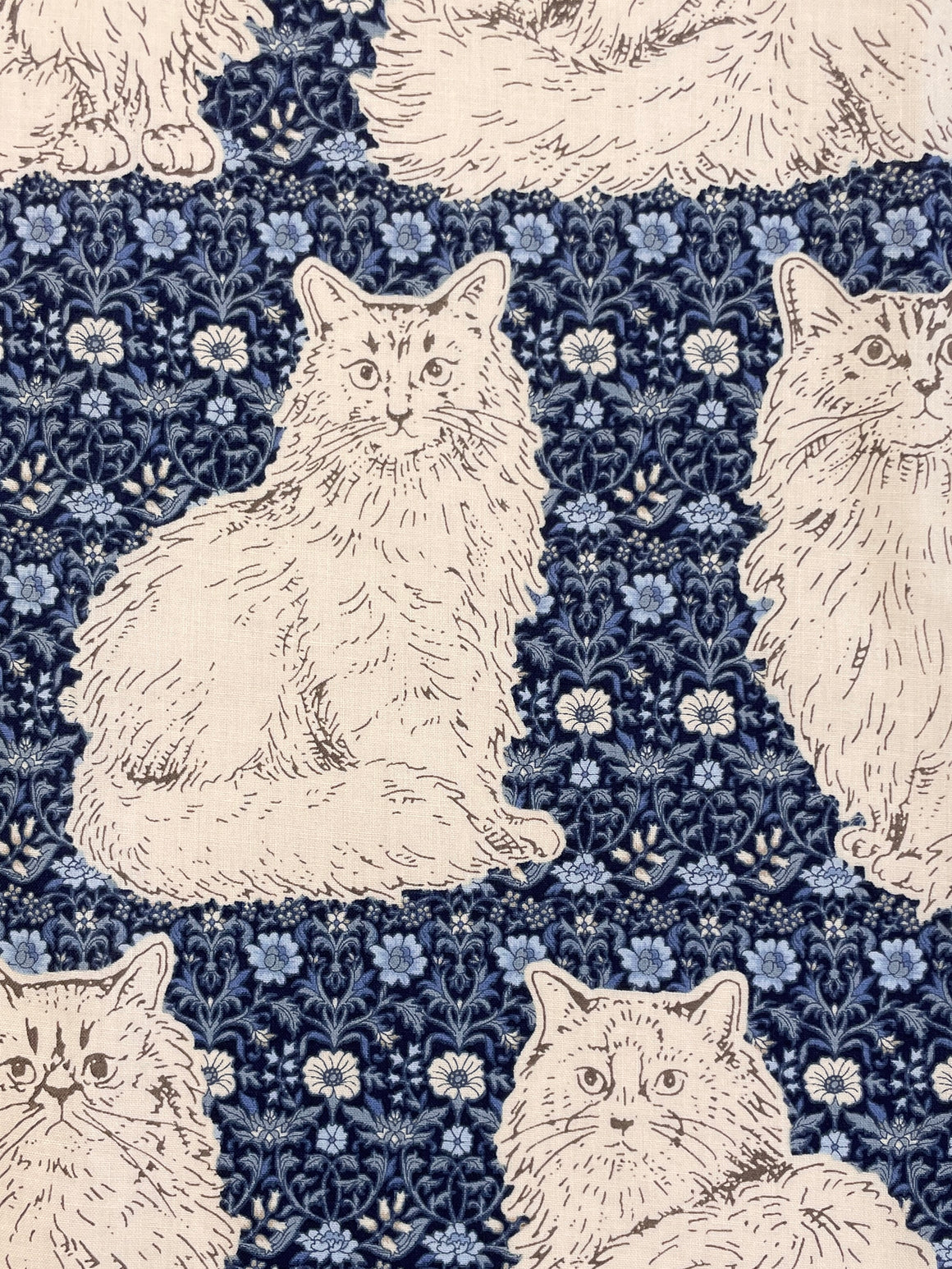 Cats in Night from Sevenberry Fabrics