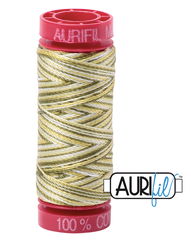 Aurifil Cotton Thread — Spring Prairie (Variegated) 4653 — Small 12wt
