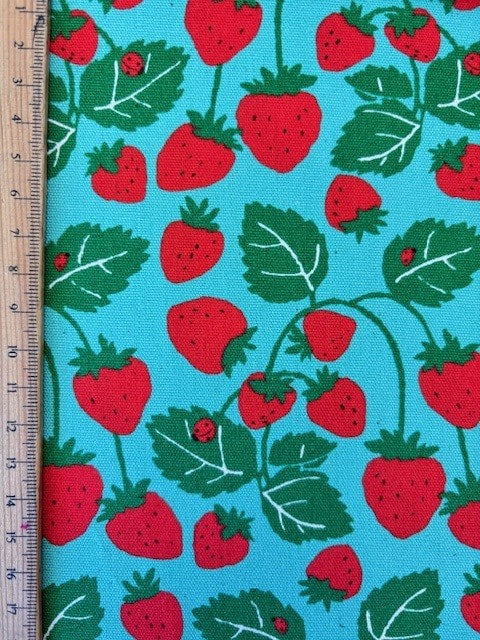 Berry Vine in Aqua from Sevenberry Fabrics by Robert Kaufman Fabrics, Designer Fabric