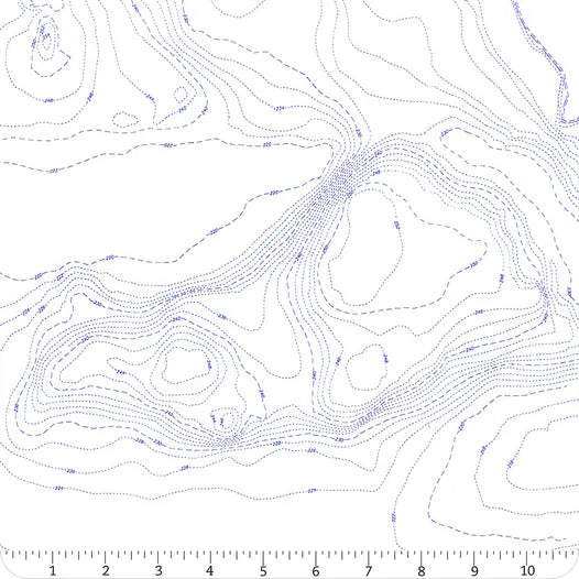 Topography in Pond from Sun Print Whisper by Alison Glass for Andover Fabrics
