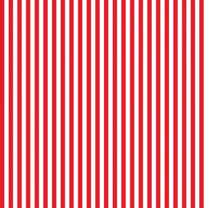 Stripe 1/4 inch Red, Designer Fabric, Riley Blake Designs, [variant_title] - Mad About Patchwork