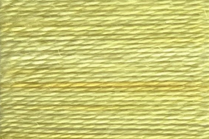 Charmed - Acorn Threads by Trailhead Yarns - 20 yds of 8 weight hand-dyed thread