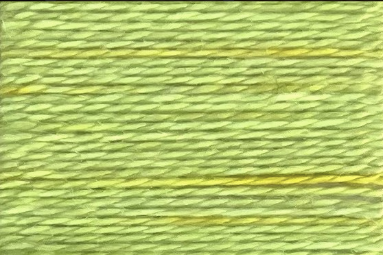 Grasshopper - Acorn Threads by Trailhead Yarns - 20 yds of 8 weight hand-dyed thread