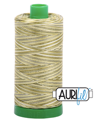 Aurifil Cotton Thread — Colour 4653 Spring Prairie Variegated