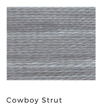 Cowboy Strut- Acorn Threads by Trailhead Yarns - 8 weight hand-dyed thread