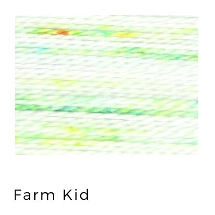Farm kid- Acorn Threads by Trailhead Yarns - 20 yds of 8 weight hand-dyed thread