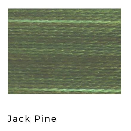 Jack Pine - Acorn Threads by Trailhead Yarns - 20 yds of 8 weight hand-dyed thread