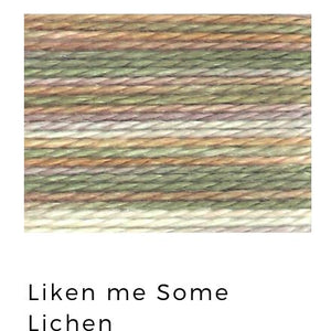 Liken me some Lichen - Acorn Threads by Trailhead Yarns - 20 yds of 8 weight hand-dyed thread