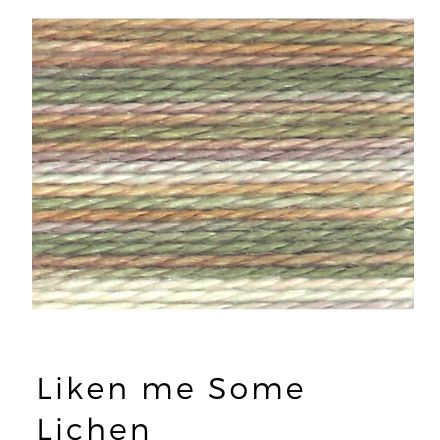 Liken me some Lichen - Acorn Threads by Trailhead Yarns - 20 yds of 8 weight hand-dyed thread