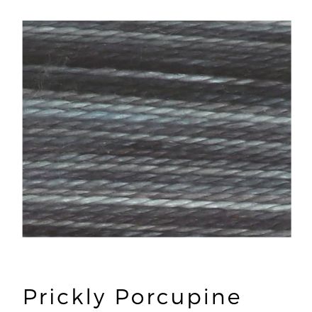 Prickly Porcupine - Acorn Threads by Trailhead Yarns - 20 yds of 8 weight hand-dyed thread