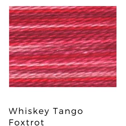 Whiskey Tango Foxtrot - Acorn Threads by Trailhead Yarns - 20 yds of 8 weight hand-dyed thread